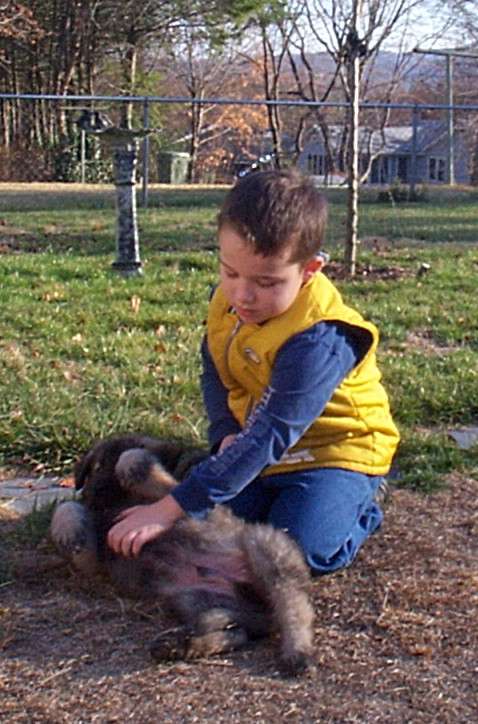 puppyandjay.jpg